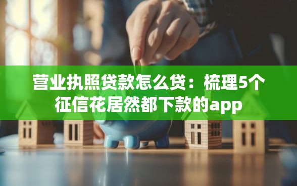 营业执照贷款怎么贷：梳理5个征信花居然都下款的app