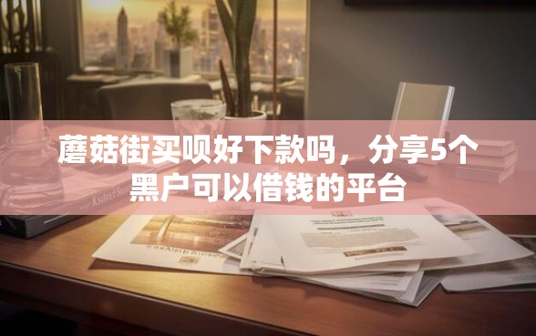 蘑菇街买呗好下款吗，分享5个黑户可以借钱的平台