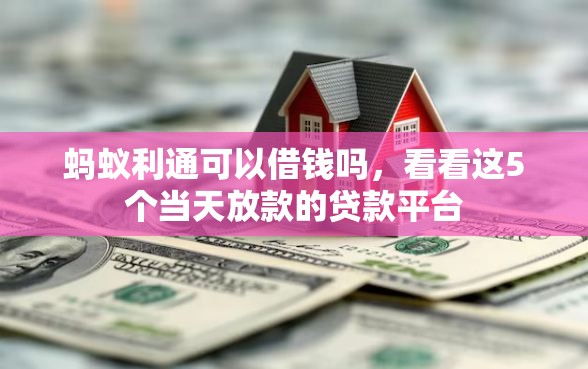 蚂蚁利通可以借钱吗，看看这5个当天放款的贷款平台