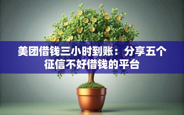 美团借钱三小时到账：分享五个征信不好借钱的平台