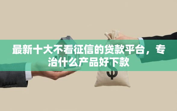 最新十大不看征信的贷款平台，专治什么产品好下款