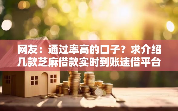 网友：通过率高的口子？求介绍几款芝麻借款实时到账速借平台