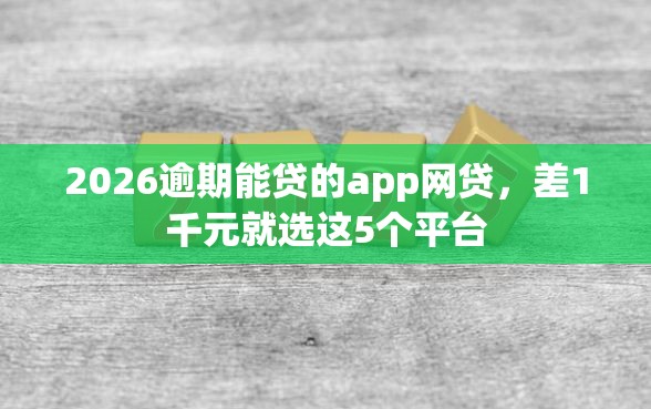 2026逾期能贷的app网贷，差1千元就选这5个平台