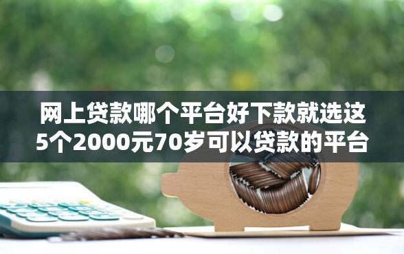 网上贷款哪个平台好下款就选这5个2000元70岁可以贷款的平台