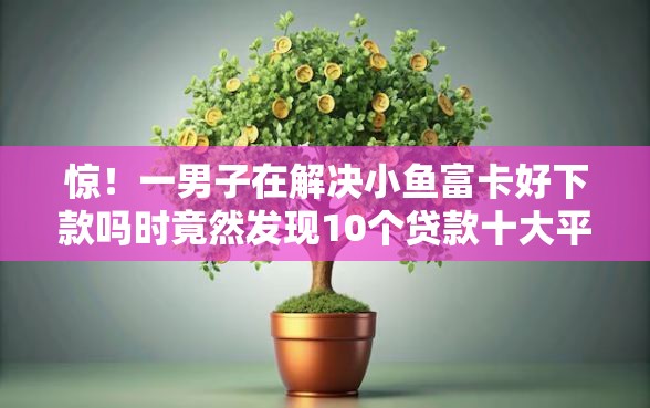 惊！一男子在解决小鱼富卡好下款吗时竟然发现10个贷款十大平台，事后分享了出来
