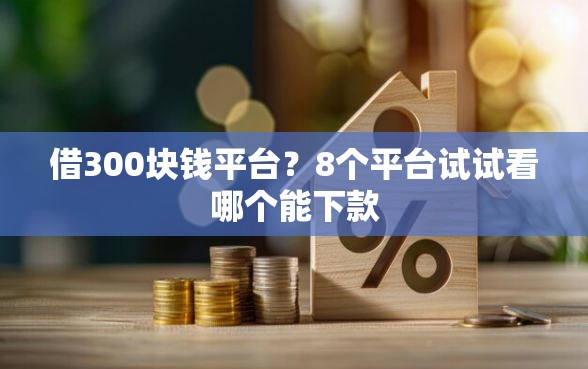 借300块钱平台？8个平台试试看哪个能下款