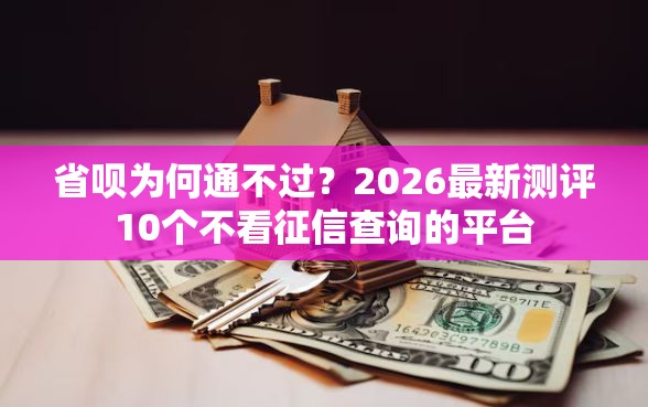 省呗为何通不过？2026最新测评10个不看征信查询的平台