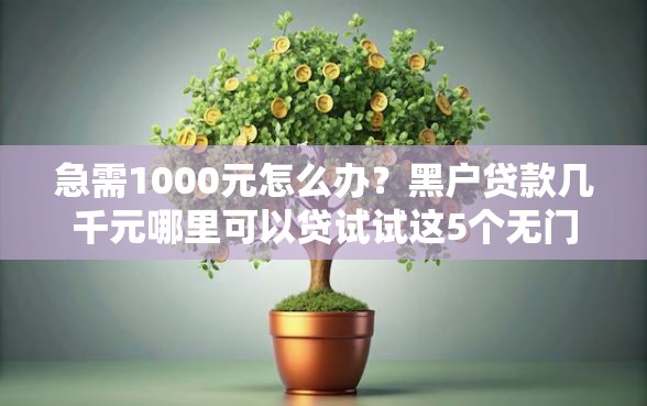 急需1000元怎么办?黑户贷款几千元哪里可以贷试试这5个无门槛平台 急需1000元怎么办?黑户贷款几千元哪里可以贷试试这5个无门槛平台