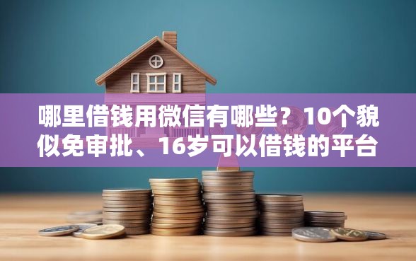 哪里借钱用微信有哪些？10个貌似免审批、16岁可以借钱的平台合集