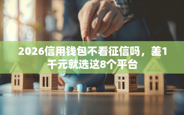 2026信用钱包不看征信吗，差1千元就选这8个平台