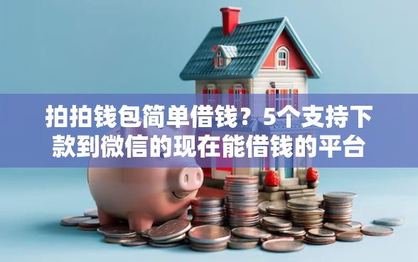 拍拍钱包简单借钱？5个支持下款到微信的现在能借钱的平台