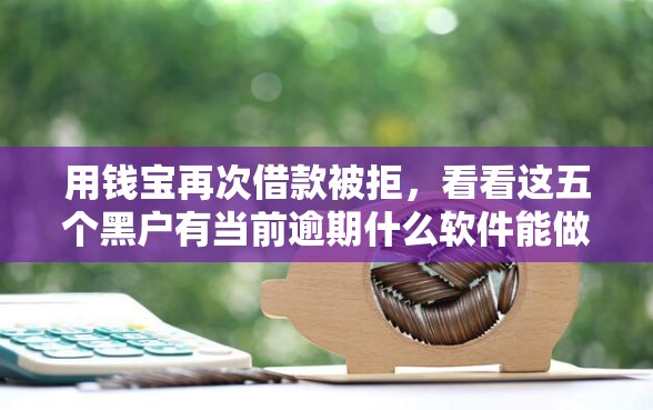 用钱宝再次借款被拒，看看这五个黑户有当前逾期什么软件能做贷款