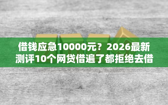 借钱应急10000元？2026最新测评10个网贷借遍了都拒绝去借款平台借钱