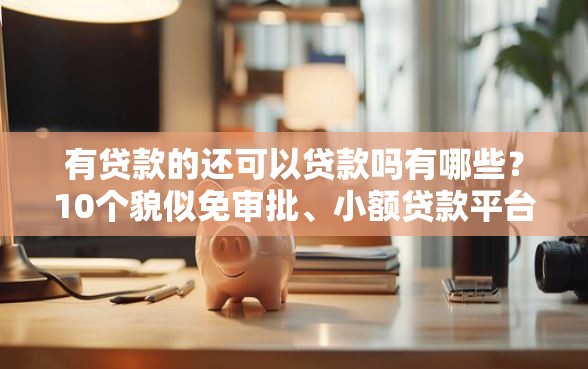 有贷款的还可以贷款吗有哪些？10个貌似免审批、小额贷款平台推荐合集