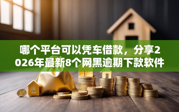 哪个平台可以凭车借款，分享2026年最新8个网黑逾期下款软件