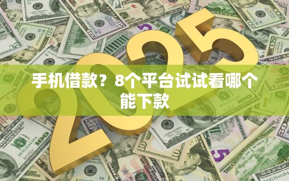 手机借款？8个平台试试看哪个能下款