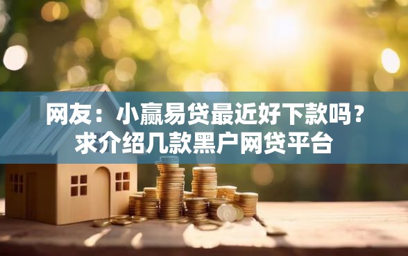网友：小赢易贷最近好下款吗？求介绍几款黑户网贷平台
