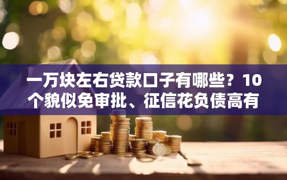 一万块左右贷款口子有哪些？10个貌似免审批、征信花负债高有逾期还能下款的口子合集