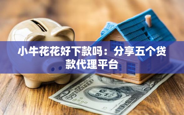 小牛花花好下款吗：分享五个贷款代理平台