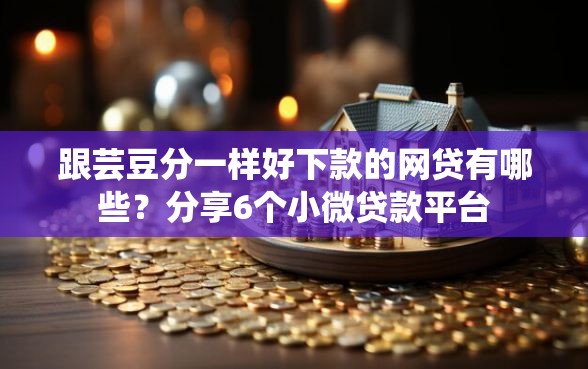 跟芸豆分一样好下款的网贷有哪些？分享6个小微贷款平台