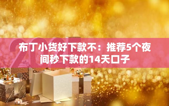 布丁小货好下款不：推荐5个夜间秒下款的14天口子