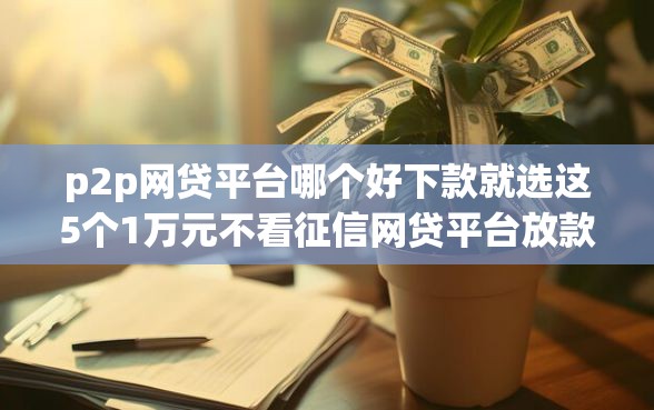 p2p网贷平台哪个好下款就选这5个1万元不看征信网贷平台放款快的口子