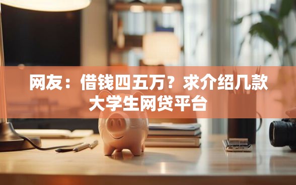 网友：借钱四五万？求介绍几款大学生网贷平台