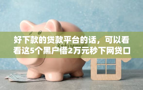 好下款的贷款平台的话，可以看看这5个黑户借2万元秒下网贷口子app