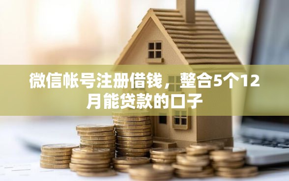 微信帐号注册借钱，整合5个12月能贷款的口子