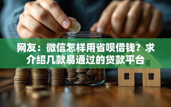 网友：微信怎样用省呗借钱？求介绍几款易通过的贷款平台