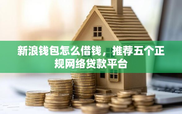 新浪钱包怎么借钱，推荐五个正规网络贷款平台