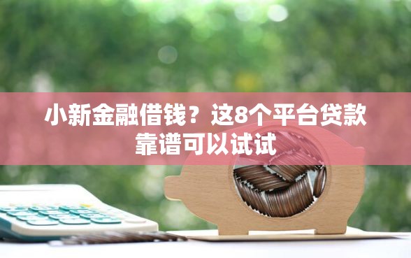 小新金融借钱？这8个平台贷款靠谱可以试试
