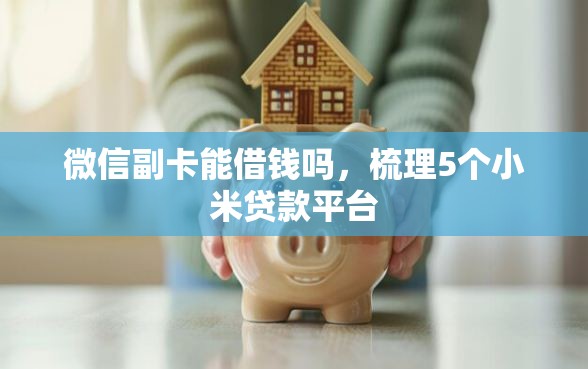 微信副卡能借钱吗，梳理5个小米贷款平台