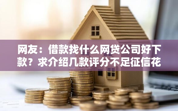 网友：借款找什么网贷公司好下款？求介绍几款评分不足征信花可以借的平台
