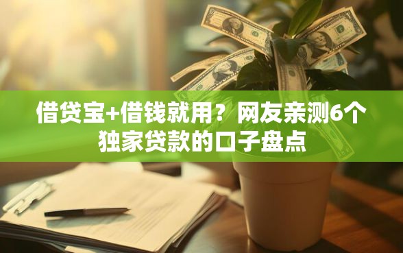 借贷宝+借钱就用？网友亲测6个独家贷款的口子盘点