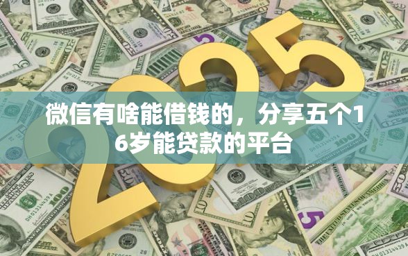 微信有啥能借钱的，分享五个16岁能贷款的平台