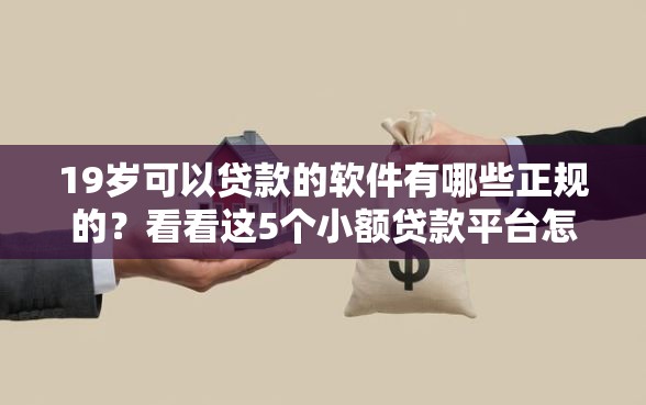 19岁可以贷款的软件有哪些正规的？看看这5个小额贷款平台怎么样