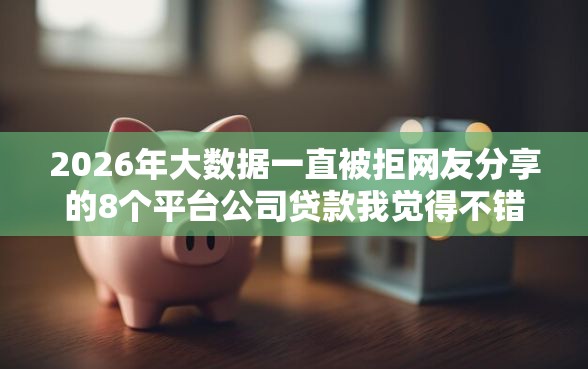 2026年大数据一直被拒网友分享的8个平台公司贷款我觉得不错！