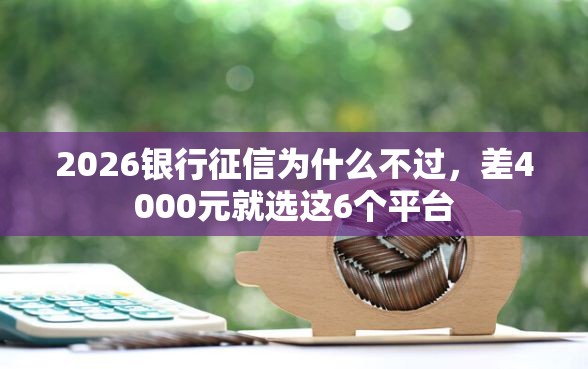 2026银行征信为什么不过，差4000元就选这6个平台
