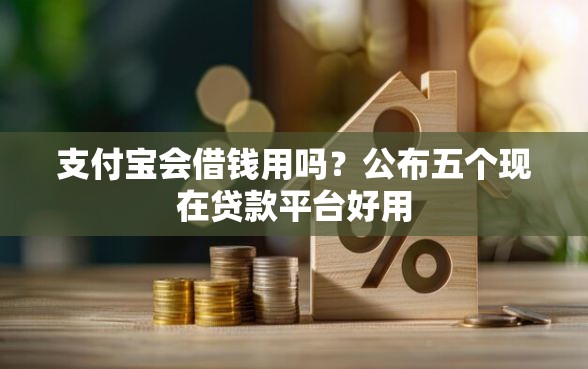 支付宝会借钱用吗？公布五个现在贷款平台好用
