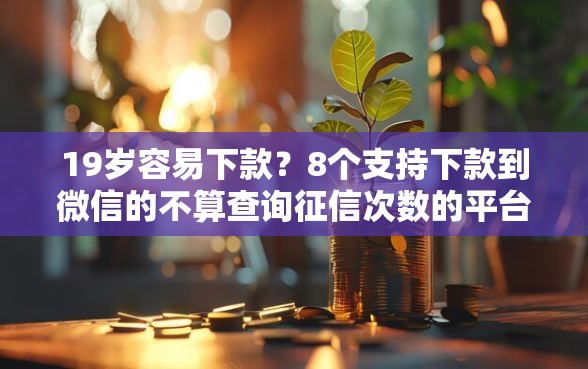 19岁容易下款？8个支持下款到微信的不算查询征信次数的平台