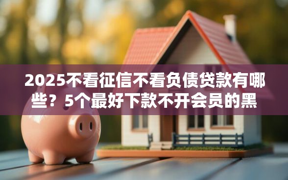 2025不看征信不看负债贷款有哪些？5个最好下款不开会员的黑户借钱平台推荐给你