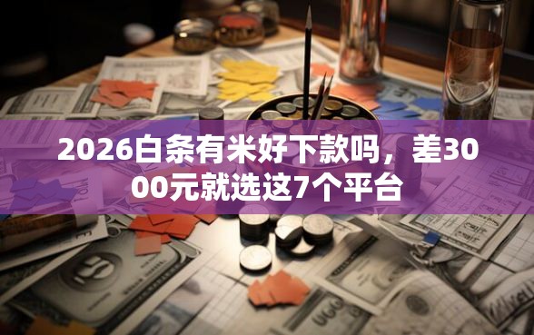2026白条有米好下款吗，差3000元就选这7个平台