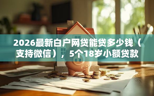 2026最新白户网贷能贷多少钱（支持微信），5个18岁小额贷款平台无私分享