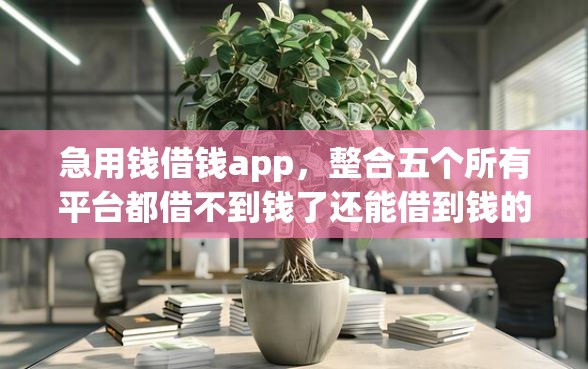 急用钱借钱app，整合五个所有平台都借不到钱了还能借到钱的平台
