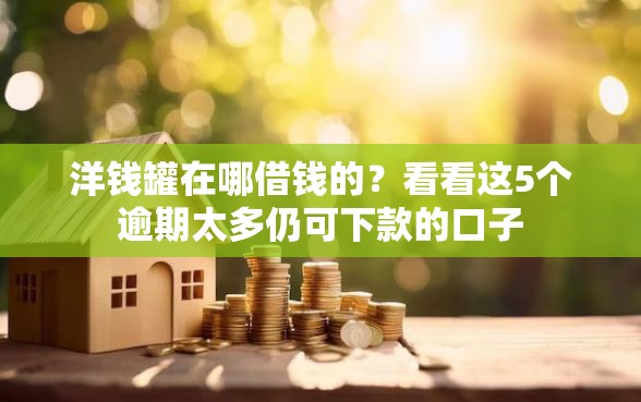 洋钱罐在哪借钱的？看看这5个逾期太多仍可下款的口子