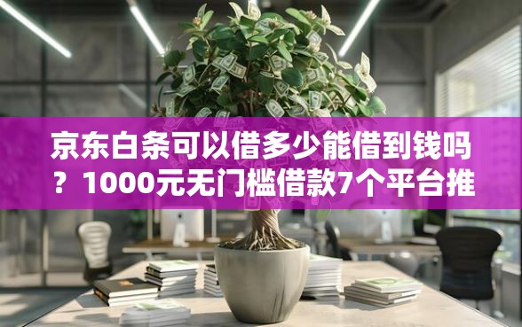 京东白条可以借多少能借到钱吗？1000元无门槛借款7个平台推荐
