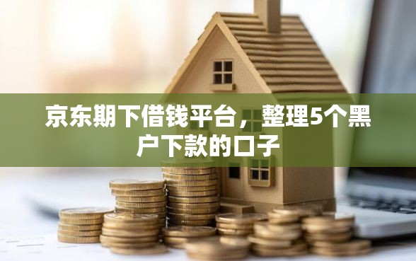 京东期下借钱平台，整理5个黑户下款的口子