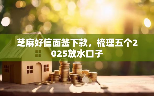芝麻好信面签下款，梳理五个2025放水口子