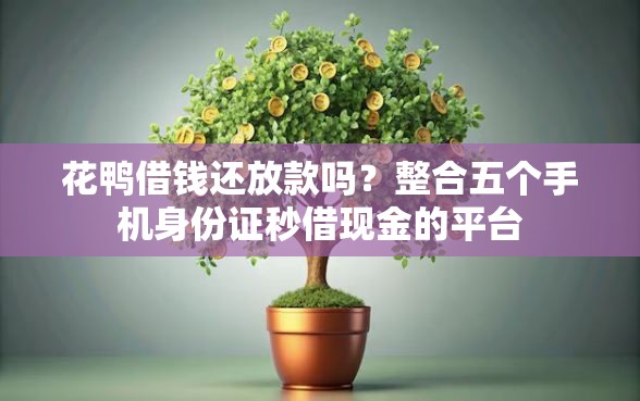 花鸭借钱还放款吗？整合五个手机身份证秒借现金的平台
